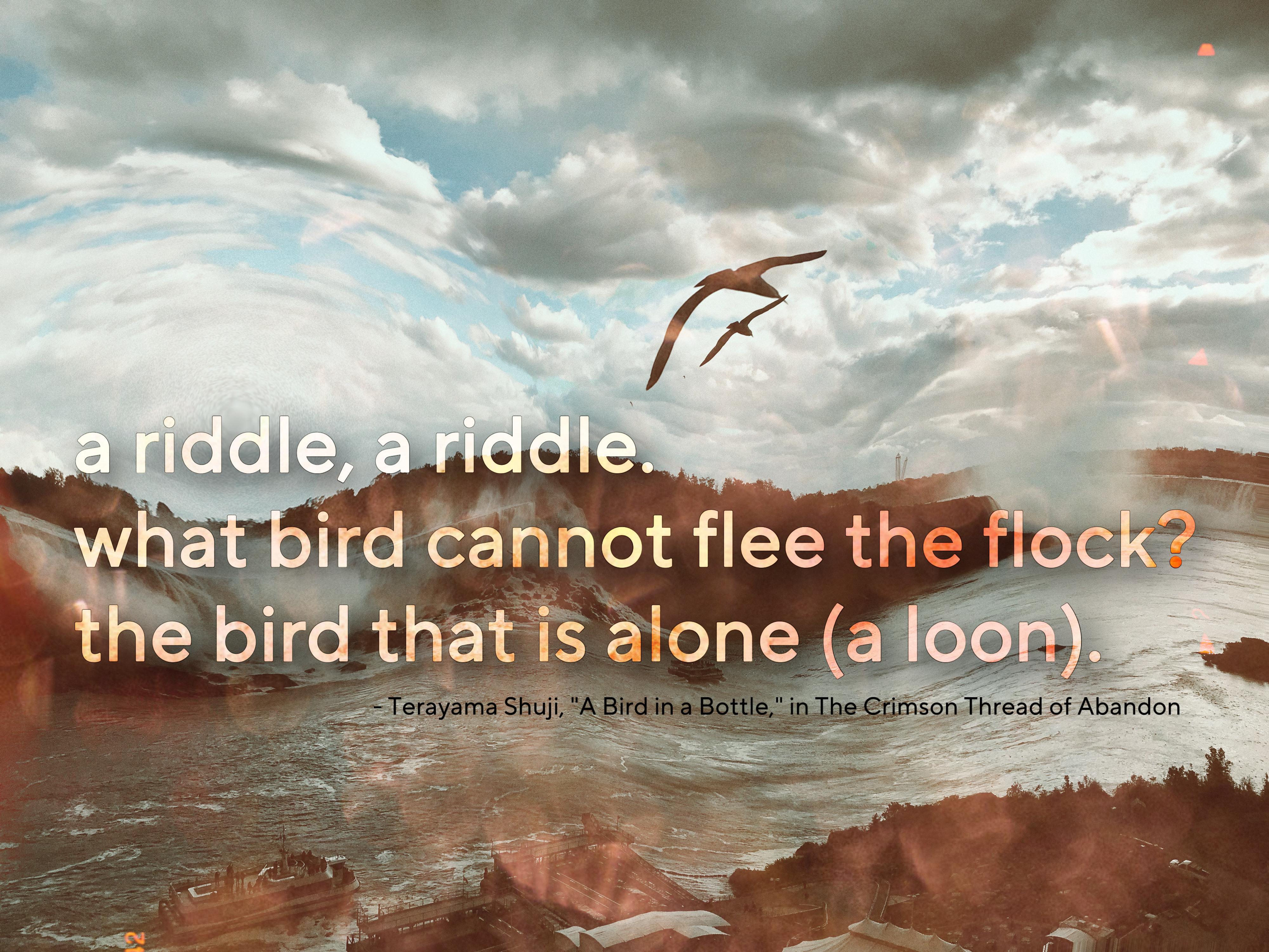 an altered swirly photo of Niagara Falls and a bird above text. . Text reads: “a riddle, a riddle. what bird cannot flee the flock? the bird that is alone (a loon)” - Terayama Shuji, “A Bird in a Bottle” in The Crimson Thread of Abandon.”