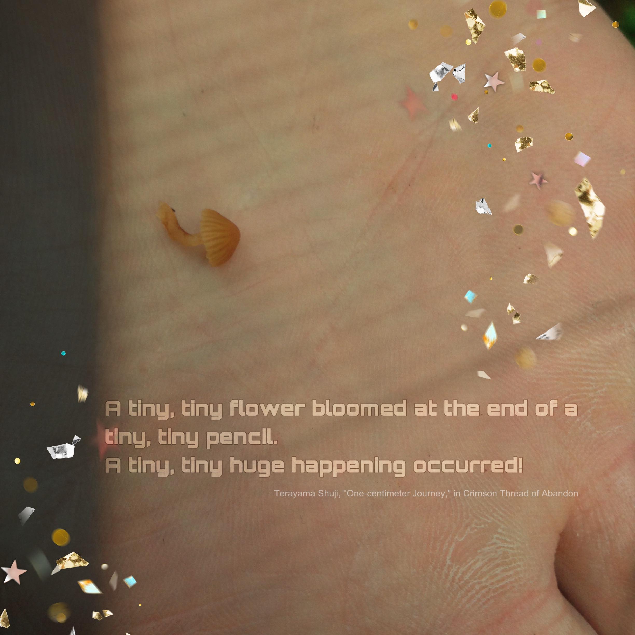 an image of a hand holding an extremely small mushroom with stars and glitter on the sides. Text reads: “A tiny, tiny flower bloomed at the end of a tiny, tiny pencil. A tiny, tiny huge happening occurred! - Terayama Shuji, “One-Centimeter Journey” in The Crimson Thread of Abandon.”