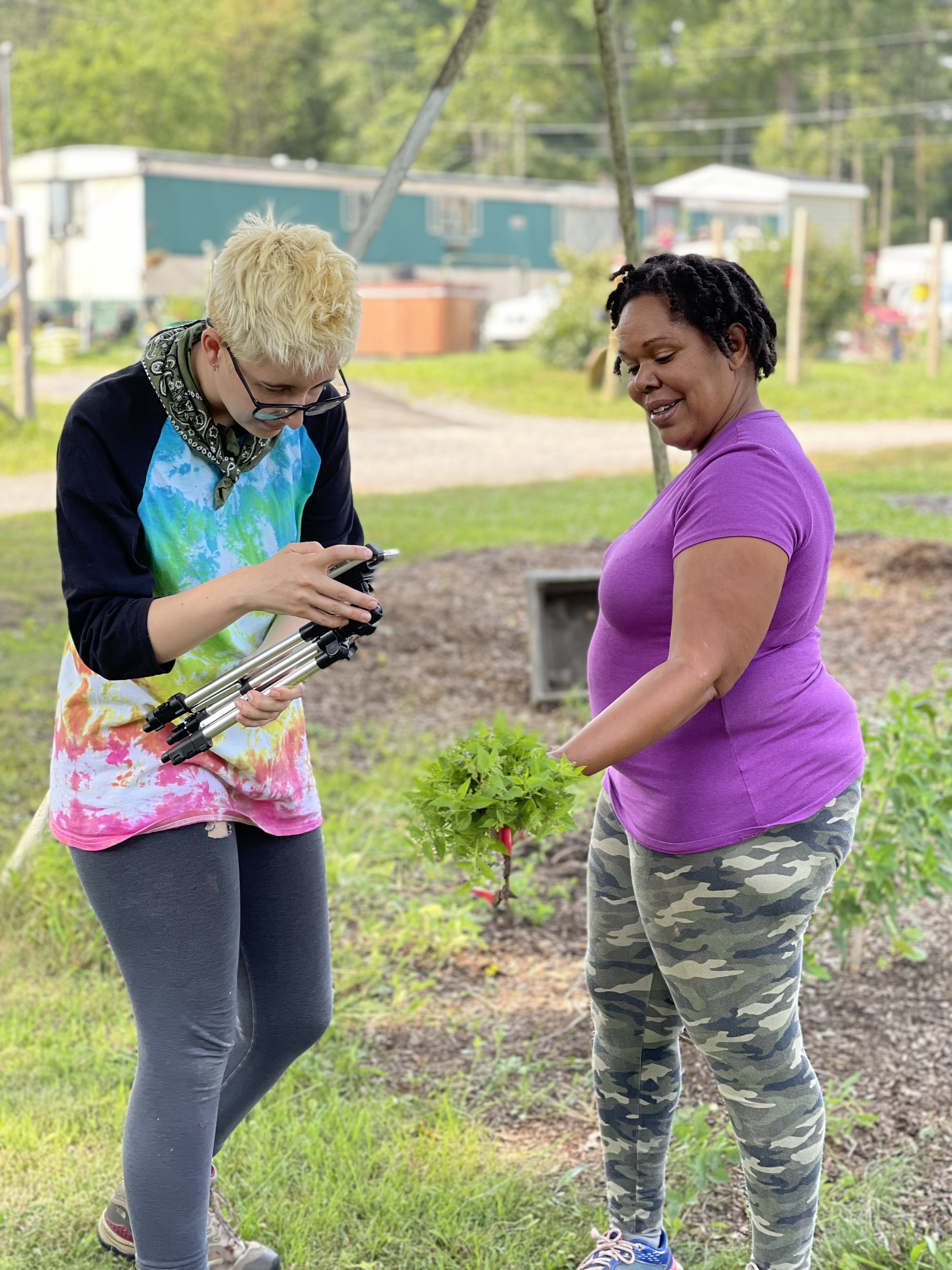 photo of Daisy filming with an informant on her farm harvesting skullcap. Both Daisy and informant are in bright colored clothes outside.